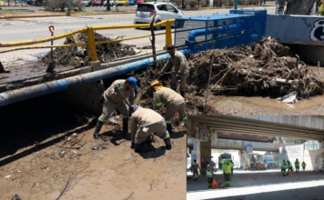 SAPAL RETIRA MÁS DE 60 MIL TONELADAS DE BASURA EN DOS AÑOS
