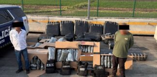 ASEGURA PEC MÁS DE 461 KILOS DE MARIHUANA EN OPERATIVO EN CERRO GORDO