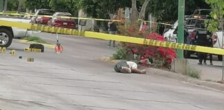 ASESINAN A UN HOMBRE MIENTRAS REPARABA UN AUTO EN PASEOS DEL COUNTRY