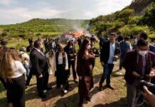 LIBIA DEFIENDE QUE GUANAJUATO PUEDA INVESTIGAR DELINCUENCIA ORGANIZADA