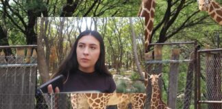 OLDIE NO MURIÓ POR DESCARGA: PARQUE DE LA VIDA EXPLICA EL CASO
