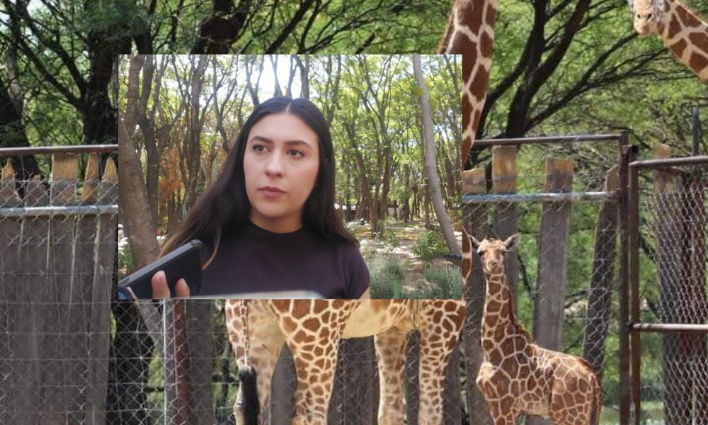 DIANA ZOO