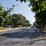 REFORESTARÁN 14 PARQUES URBANOS DE LEÓN CON 240 ÁRBOLES NATIVOS