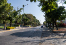 REFORESTARÁN 14 PARQUES URBANOS DE LEÓN CON 240 ÁRBOLES NATIVOS