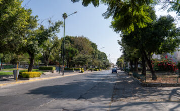 REFORESTARÁN 14 PARQUES URBANOS DE LEÓN CON 240 ÁRBOLES NATIVOS