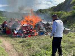 FGR INCINERA MÁS DE 560 KILOS DE DROGA EN OPERATIVO REALIZADO EN LEÓN