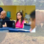 ALE GUTIÉRREZ ATRIBUYE CRISIS FINANCIERA DEL ZOOLÓGICO DE LEÓN A CAMPAÑA NEGATIVA