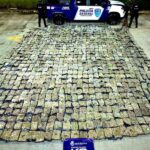 LOCALIZAN 506 KILOS DE PRESUNTA MARIHUANA EN PAQUETERÍA DE LEÓN