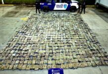 LOCALIZAN 506 KILOS DE PRESUNTA MARIHUANA EN PAQUETERÍA DE LEÓN