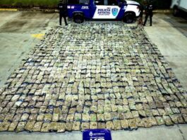 LOCALIZAN 506 KILOS DE PRESUNTA MARIHUANA EN PAQUETERÍA DE LEÓN