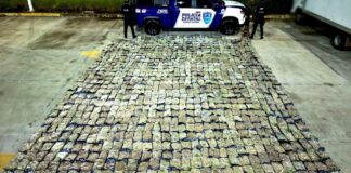 LOCALIZAN 506 KILOS DE PRESUNTA MARIHUANA EN PAQUETERÍA DE LEÓN