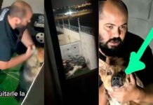 CAPTAN A HOMBRE TORTURANDO A PERRITO EN LEÓN
