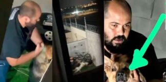 CAPTAN A HOMBRE TORTURANDO A PERRITO EN LEÓN