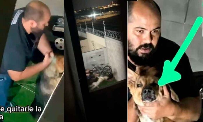 HOMBRE-MATA-A-PERRITO
