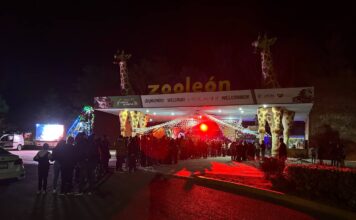 SE ACABÓ EL HALLOWEEN EN EL ZOOLÓGICO DE LEÓN