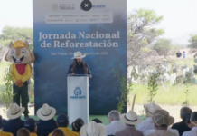 ARRANCA JORNADA DE REFORESTACIÓN EN SAN FELIPE