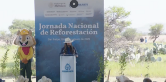 ARRANCA JORNADA DE REFORESTACIÓN EN SAN FELIPE