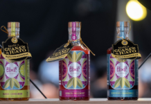 PRESENTAN MARCA GUANAJUATO INTERNACIONAL PARA FORTALECER EXPORTACIONES
