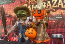 EL FESTIVAL DE CALABAZAS LLEGA AL PARQUE BICENTENARIO
