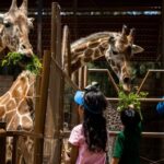 ZOOLEÓN CELEBRA 47 AÑOS DE HISTORIA