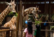 ZOOLEÓN CELEBRA 47 AÑOS DE HISTORIA