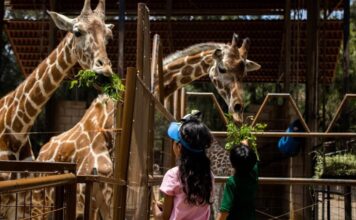 ZOOLEÓN CELEBRA 47 AÑOS DE HISTORIA
