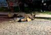 ABANDONAN CADÁVER ENVUELTO EN COBIJAS EN EL BARRIO DE SAN MIGUEL