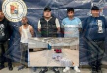DESMANTELAN GRUPO DEDICADO AL ROBO DE TRANSPORTE DE CARGA EN LEÓN