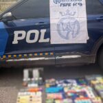 K9 DETECTA 330 VAPEADORES EN PAQUETERÍA DE SALAMANCA