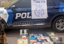 K9 DETECTA 330 VAPEADORES EN PAQUETERÍA DE SALAMANCA