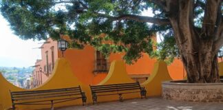 SAN MIGUEL DE ALLENDE SUBE AL CUARTO LUGAR MUNDIAL EN LOS READERS’ CHOICE AWARDS