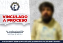 ATACÓ A SU MADRE CON UN MARTILLO Y DESPUÉS DIJO QUE LA HABÍA MATADO