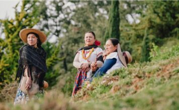 RECONOCEN LEGADO DE SANTA ROSA